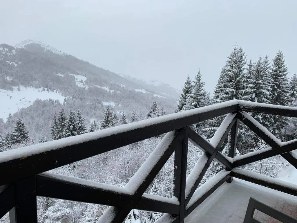 Apartment A13 Kopaonik
