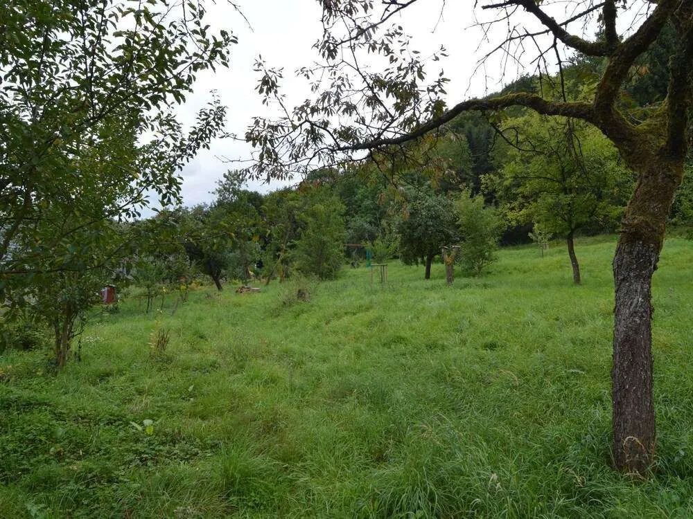 Cozy Apartment in Immerath with Fishing Near