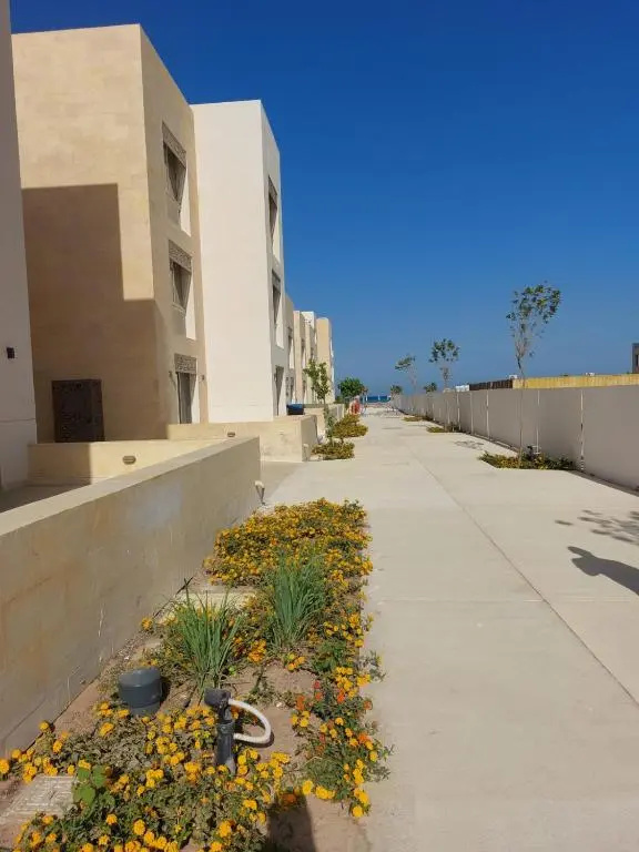 Gouna mangrovy 1 BR shared pool beach back view
