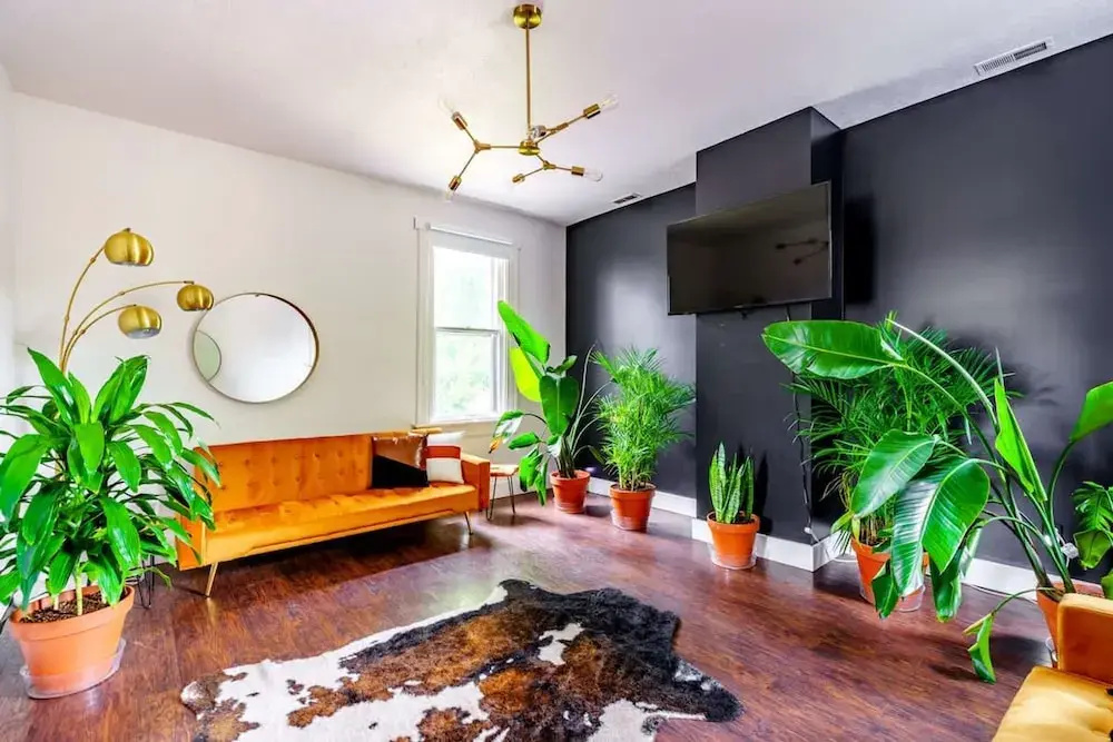 Jungle House Chillicothe