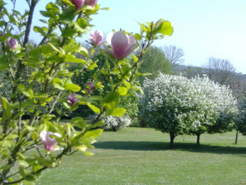 Gîtes du Manoir de Goandour