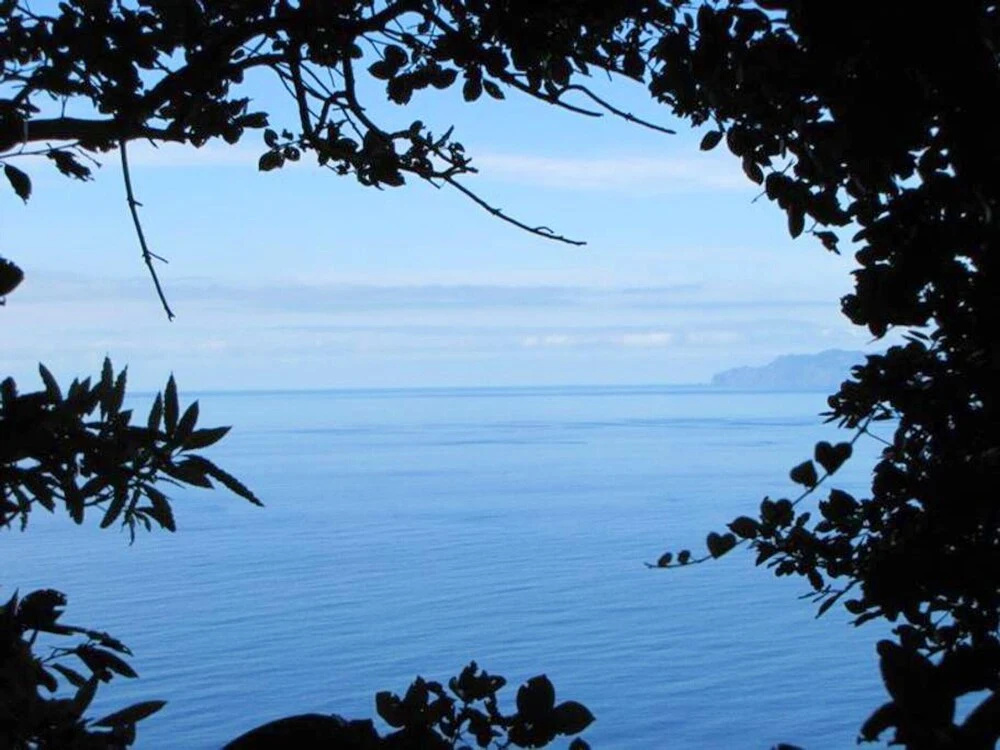 House With 3 Bedrooms in Santo Amaro, With Wonderful sea View, Furnished Garden and Wifi Near the Beach