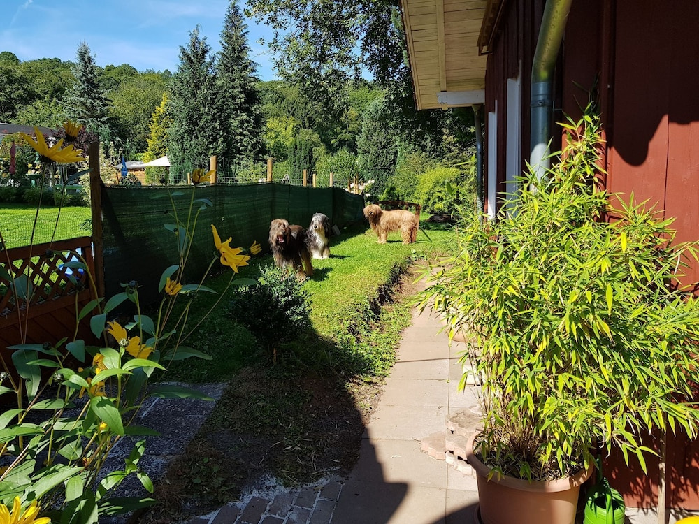 Blissful Holiday Home In	battenberg With Fenced Garden