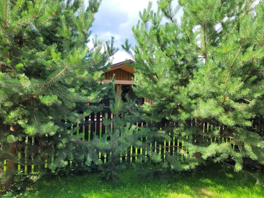 Домики на Луговом