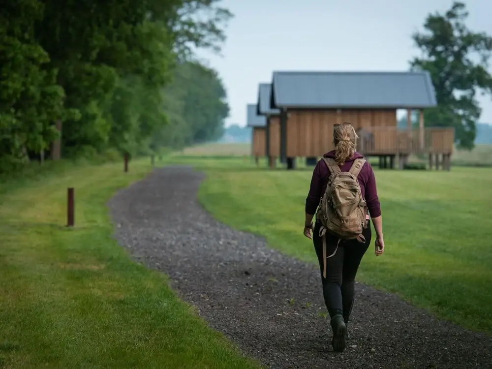 Lodges in Drenthe With Scenic Meadow Views