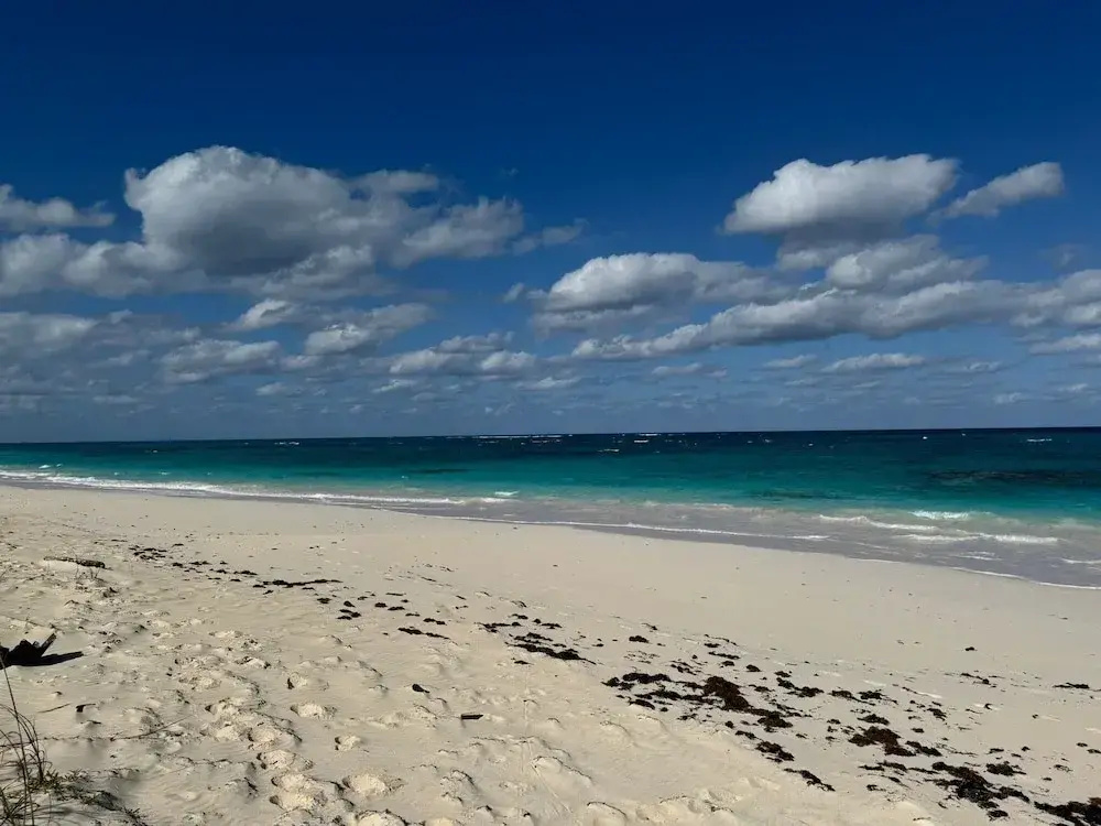 Cricket Beach House-luxurious Beachfront House 5 Bedroom Home