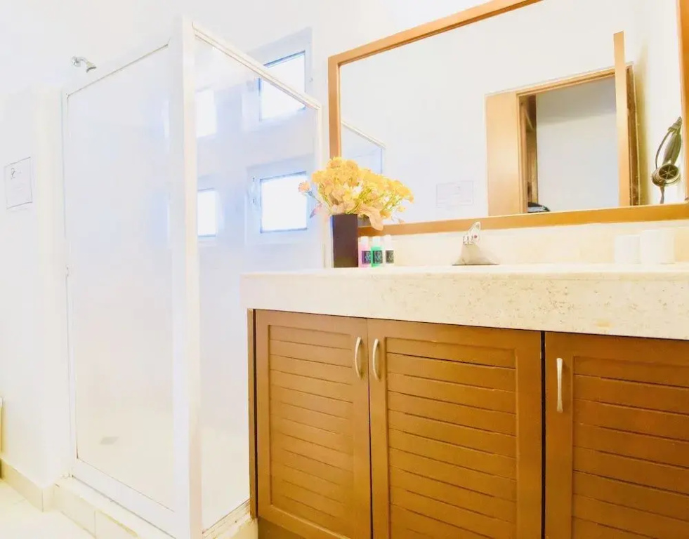 Gorgeous 8 People Standard Villa With Pool Playacar Phase 2