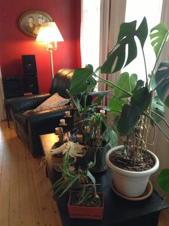 Le Gîte des Soeurs