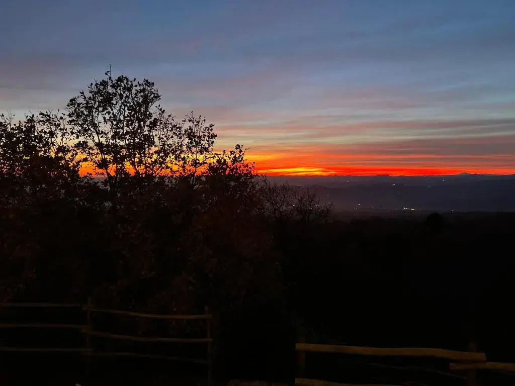 Il Frutteto di Efesto