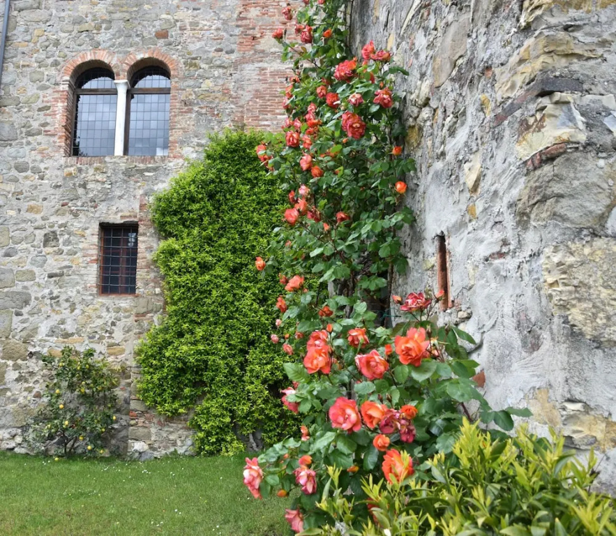 Palazzina del Chiasso B&B