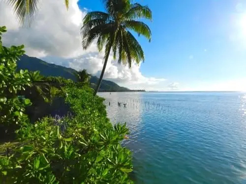 Ecolodge Cooks Beach