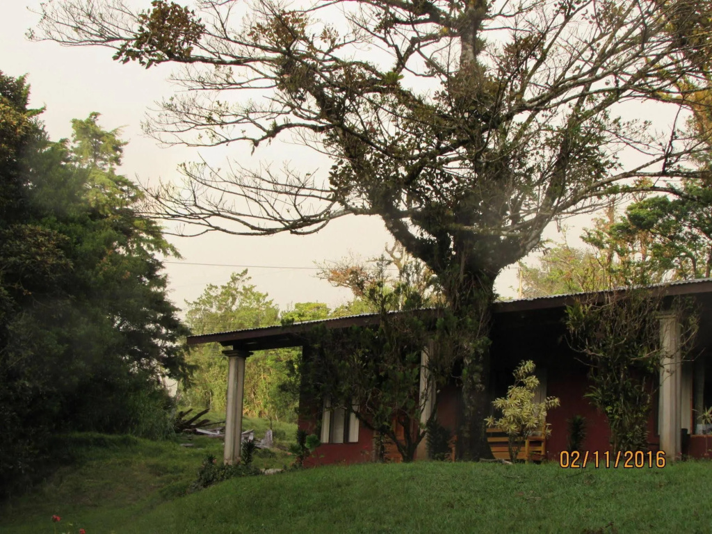 Hostel Villa Verde
