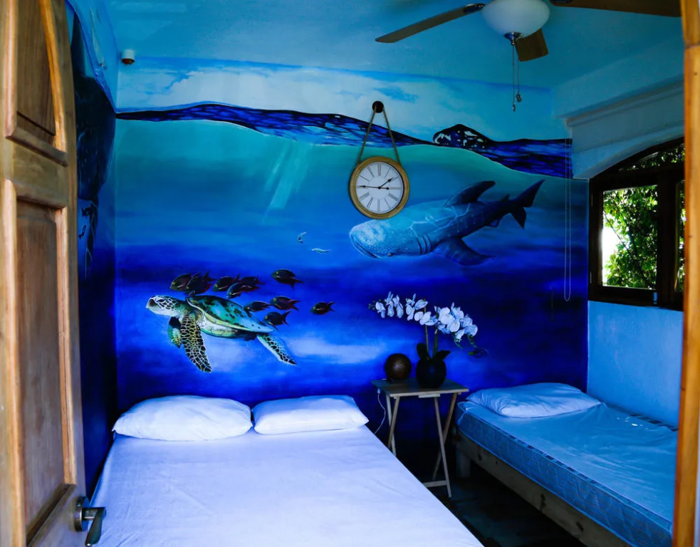 Hostel Natura