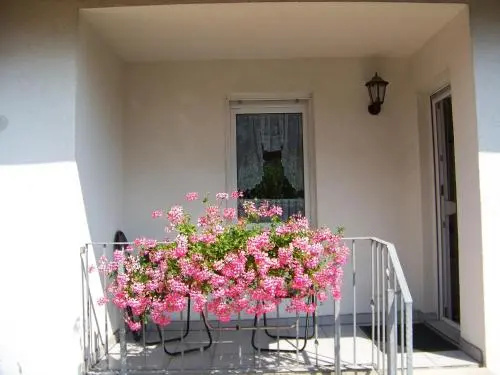 Guesthouse Angelika Jokisch