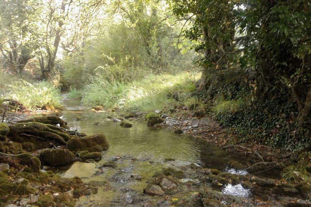 Hotel Wood Cabin by the River - for Nature Lovers rates from 147 € ➜ Vytina, Mainalo Ski. Reviews, Photos & Deals 2025