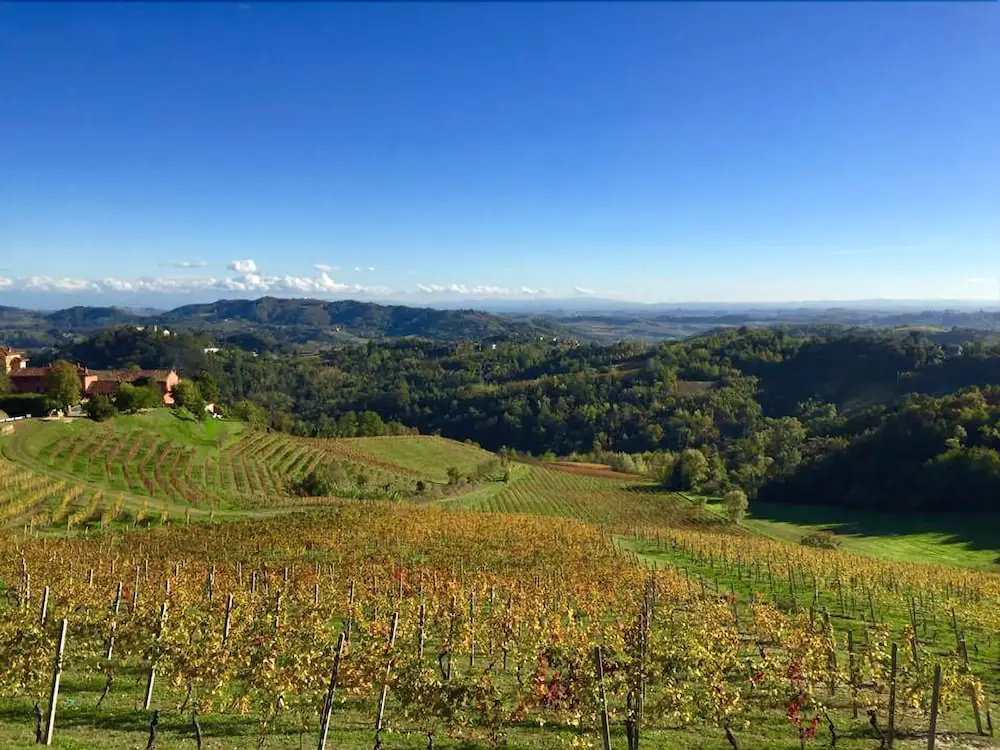 Tenuta Tenaglia