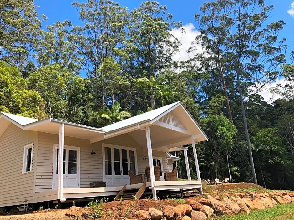 Nightcap Ridge - Byron Bay Hinterland