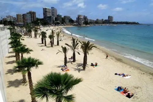 12- Apmto Playa Albufereta Rocafel 5