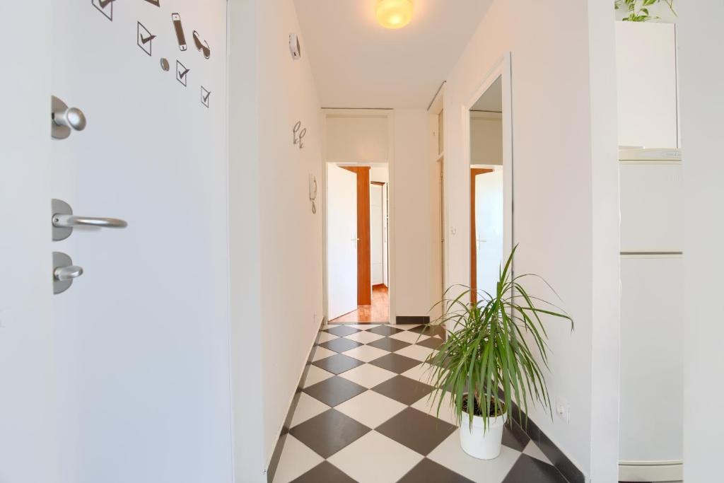 Apartment Vedrana