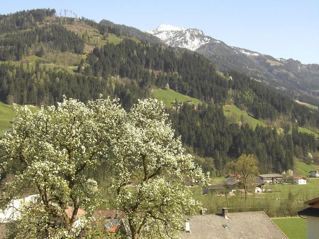 Zillertal Apartments