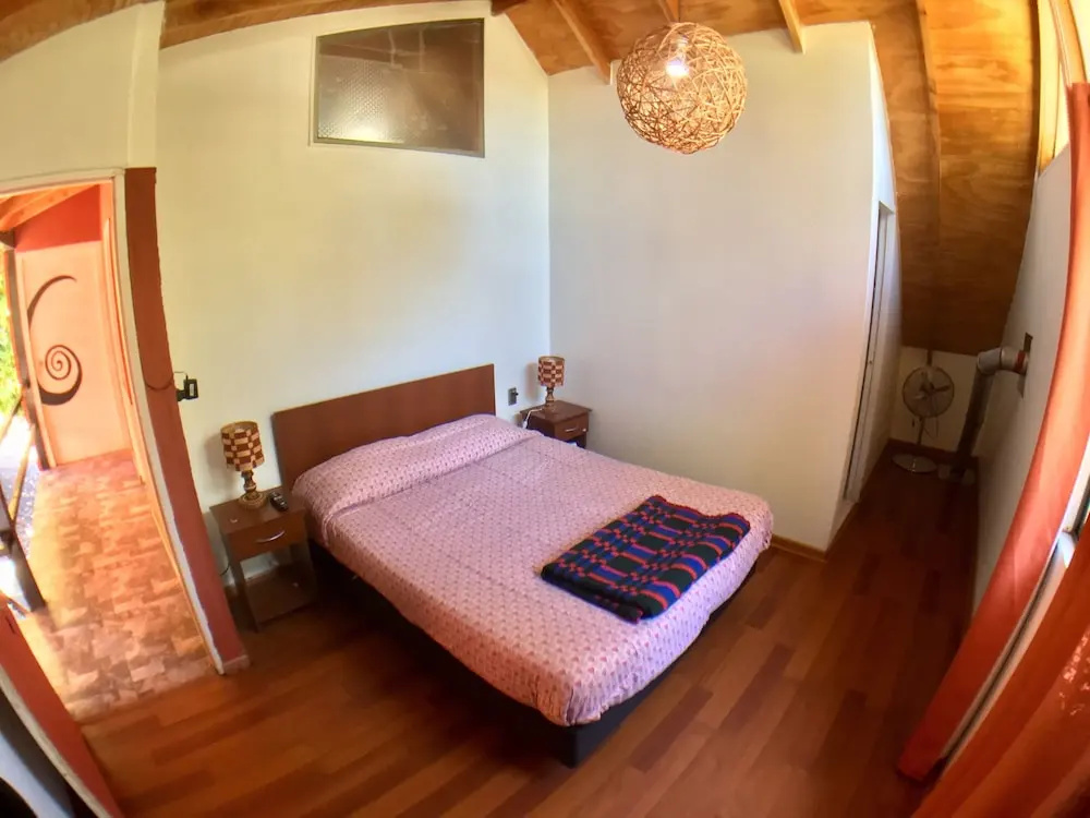 Gecko Hostel