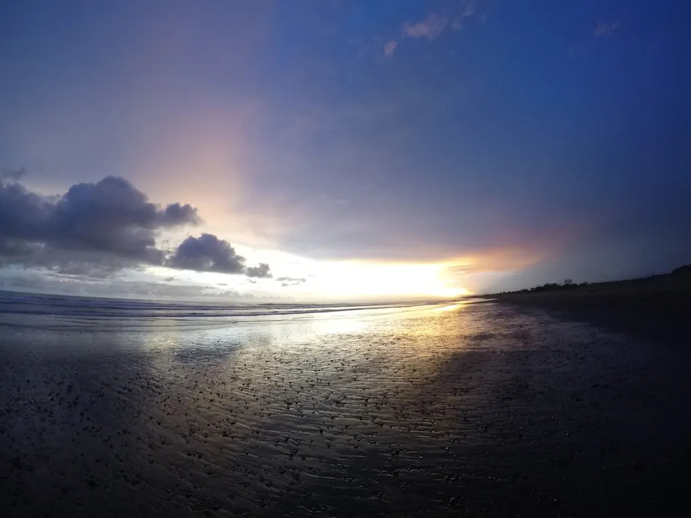 Miguel Surf Camp