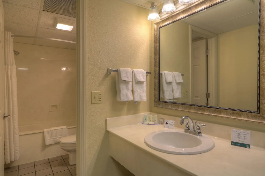 Quality Inn & Suites at Dollywood Lane