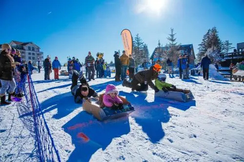 Snowshoe Condo Unit 333
