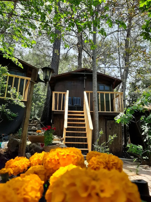 Altaris Bungalows Olympos