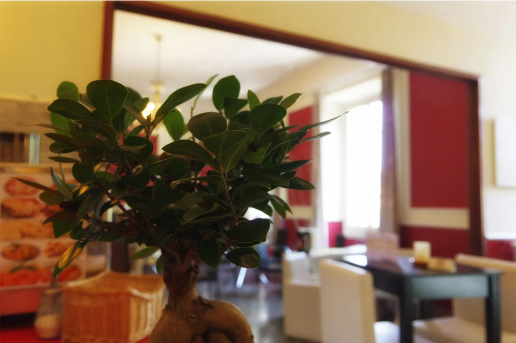 Hotel Savonarola
