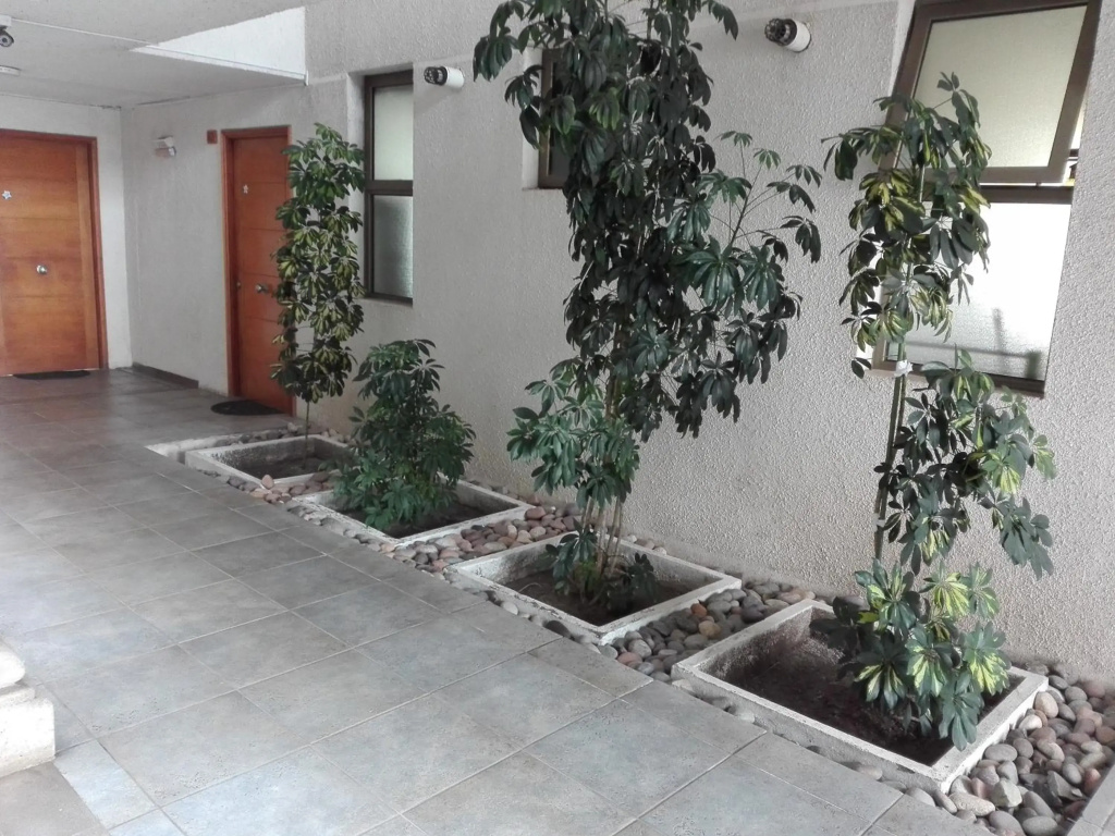 DEPTO 1RA LINEA FRENTE AL MAR Condominio Palmar 4P