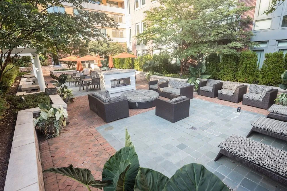 Kasa Alexandria Washington
