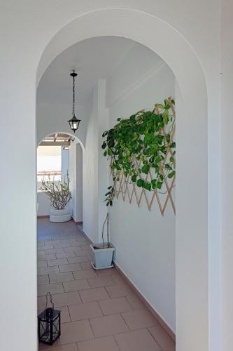 Aparthotel 3 Stars Finikas