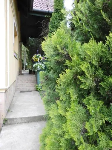 Kisház Apartman