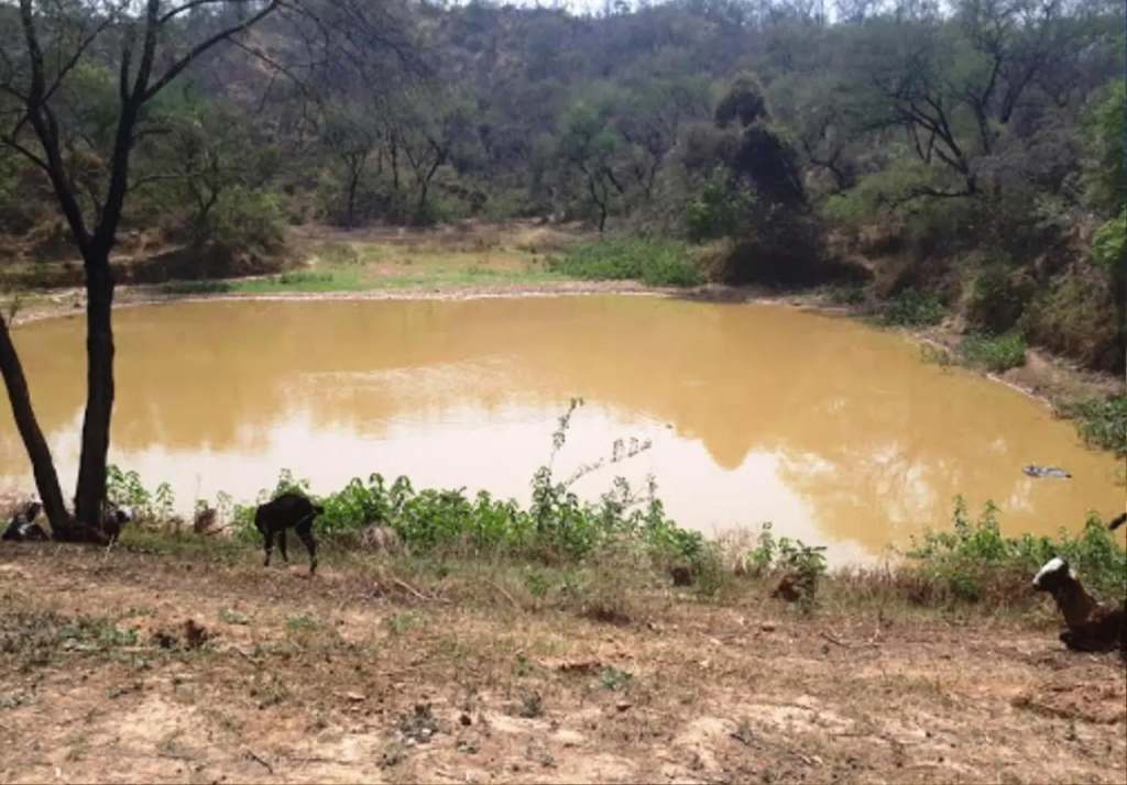 Siswan Jungle Lodge