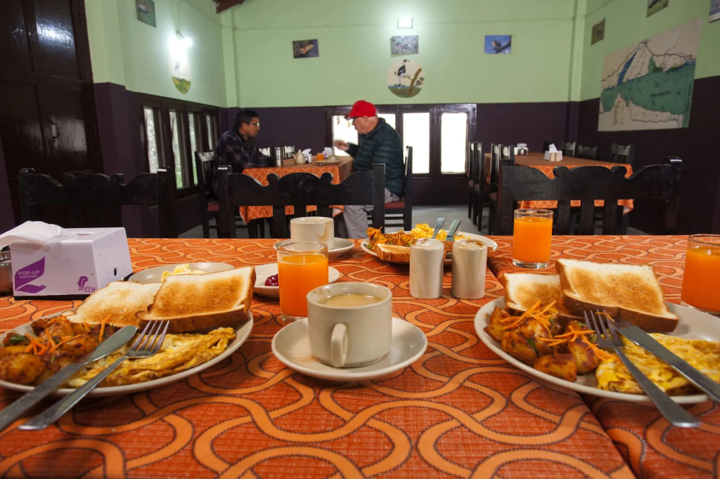 Sauraha Resort