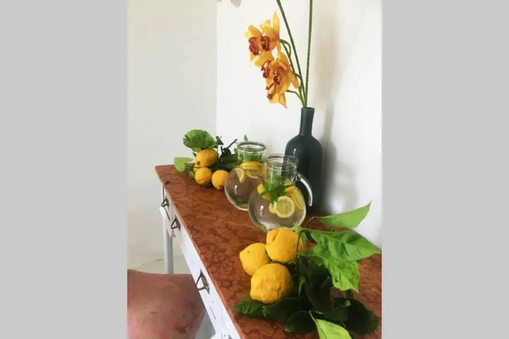 Terrazzo Esclusivo Con Zona Solarium Da 200 Mq
