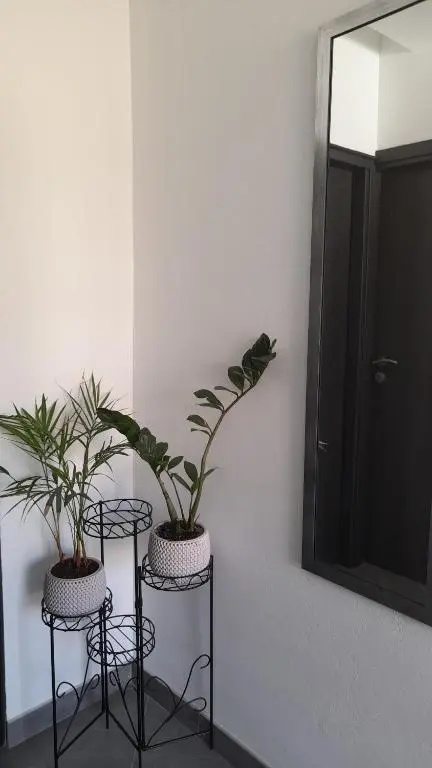 Apartments Dolac