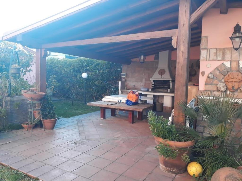 Il Cedro