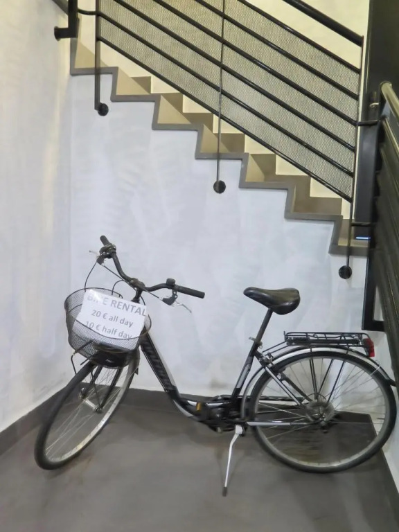 Cats Hostel San Sebastian