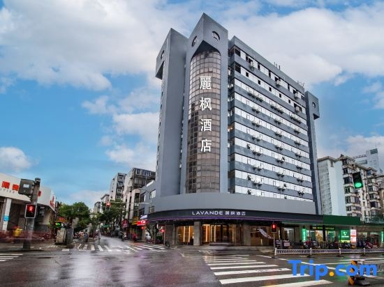 LAVANDE HOTELS