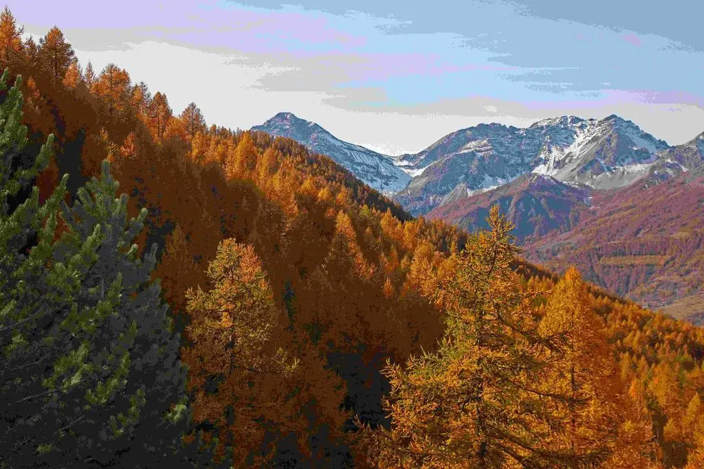 Hotel Chalet Il Capricorno