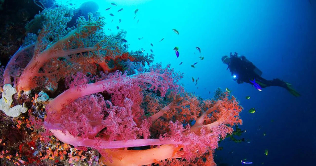 Blue Abyss Resort