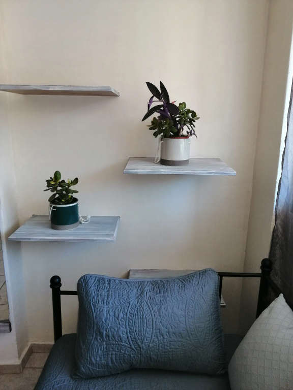Mini Suites