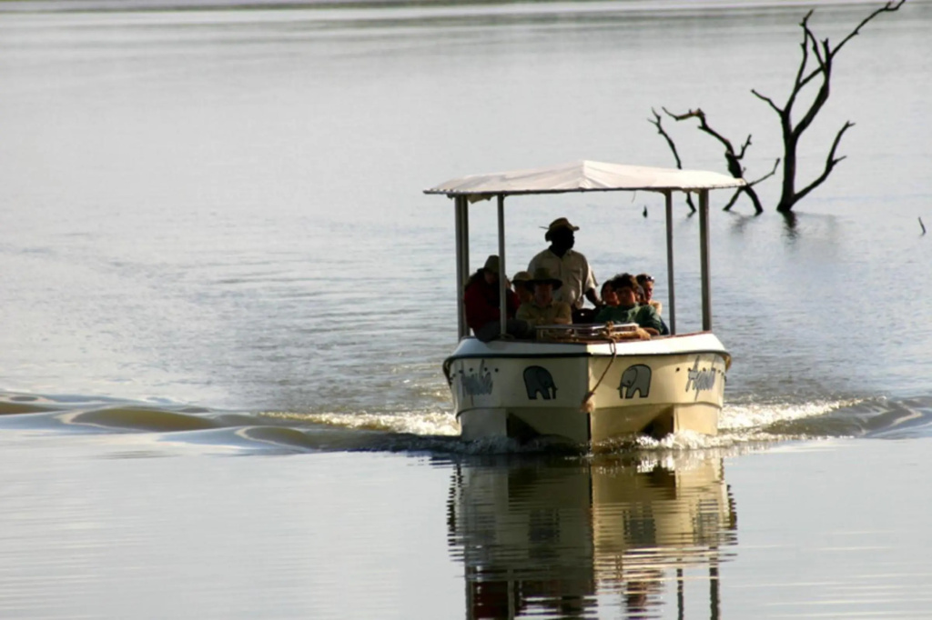 White Elephant Safaris