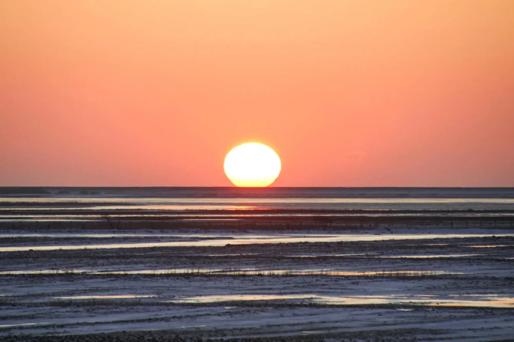 Apartment, St. Peter-ording