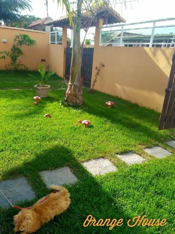 Orange House