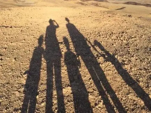השכרה וסבלט בקומפלקס של יחידות