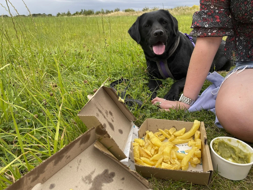 Norfolk Farm Stays by Beach Dog Friendly