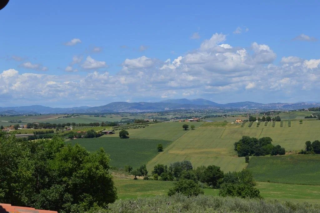 B&B La Casa Fra Gli Olivi